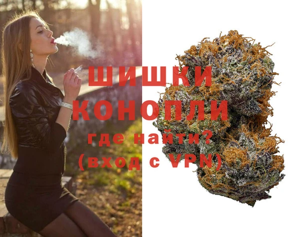 ECSTASY Гусев