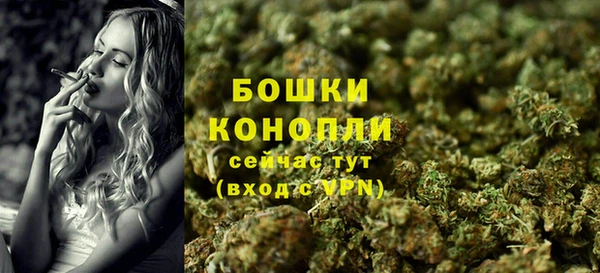ECSTASY Гусев