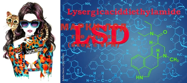 ECSTASY Гусев