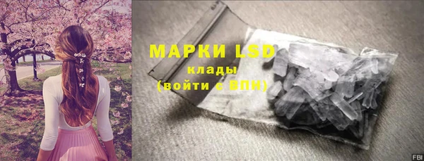 ECSTASY Гусев