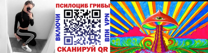 Купить где  Тара  Галлюциногенные грибы Psilocybine cubensis 
